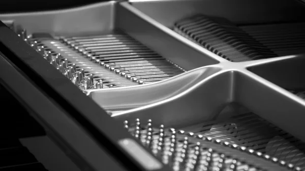 Tuning the Piano: A Complete Buyer's Guide