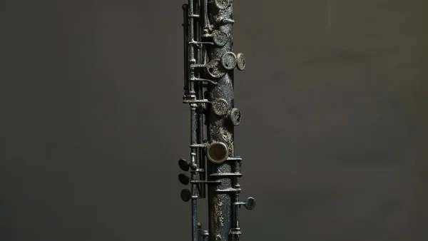 Woodwind Instruments Explained: Features, Types and Tips
