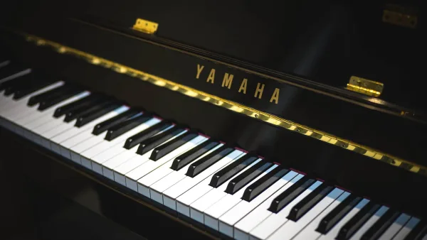 Yamaha Fg800 Explained: Features, Types and Tips