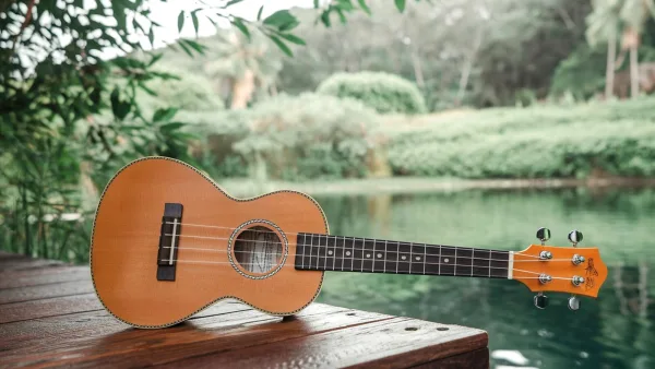 Beginner Ukulele Explained: Features, Types and Tips