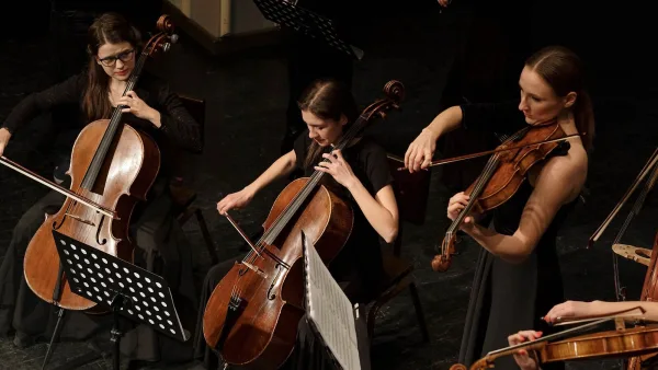 Cello Explained: Features, Types and Tips