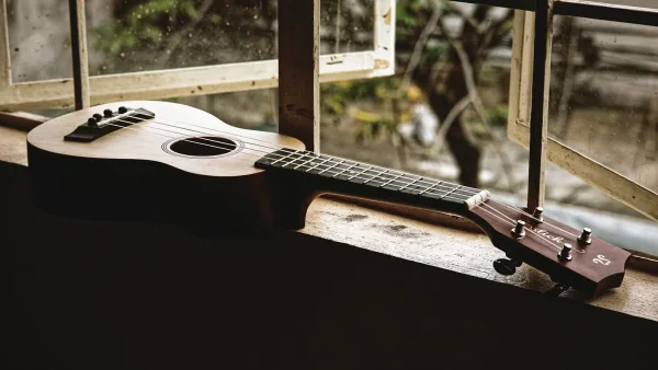 Concert Ukulele: A Complete Buyer's Guide