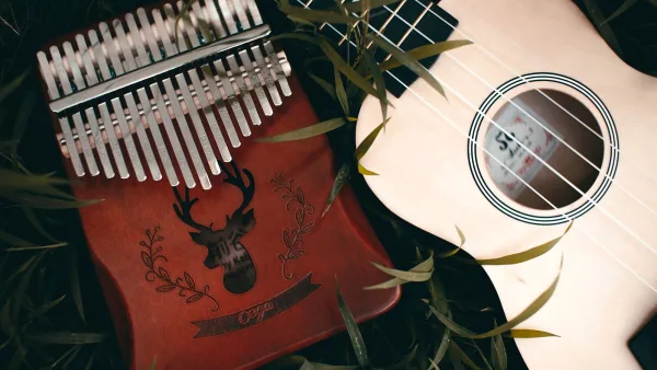Concert Ukulele Explained: Features, Types and Tips