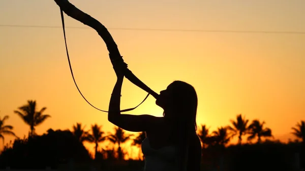 Didgeridoo Explained: Features, Types and Tips