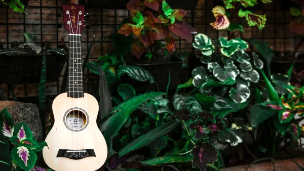 Fender Ukulele: A Complete Buyer's Guide