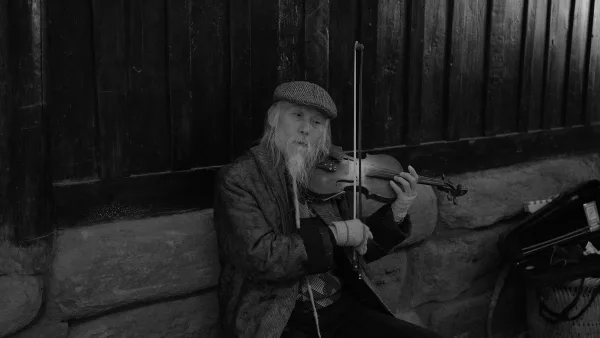 Fiddle Explained: Features, Types and Tips