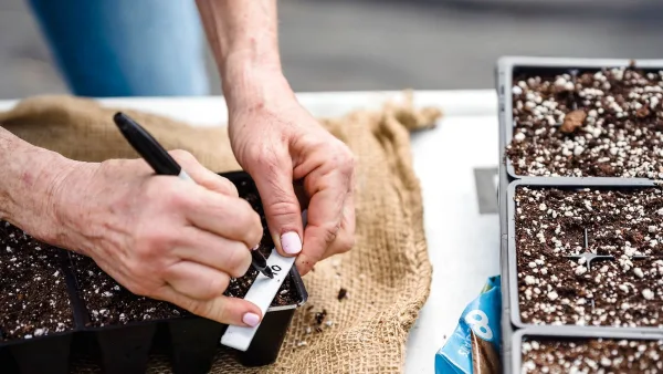 Guitar Polish for Beginners: A Complete Guide