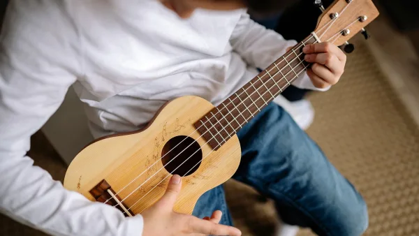 How to Set Up and Use Mandolin Strings