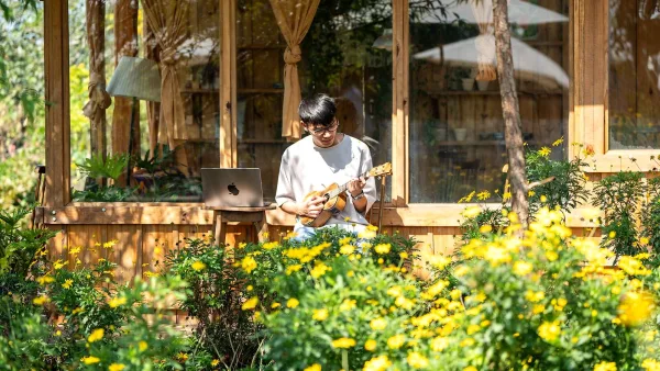 Kala Ukulele Explained: Features, Types and Tips