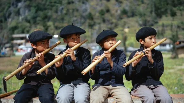 Pan Flute Explained: Features, Types and Tips