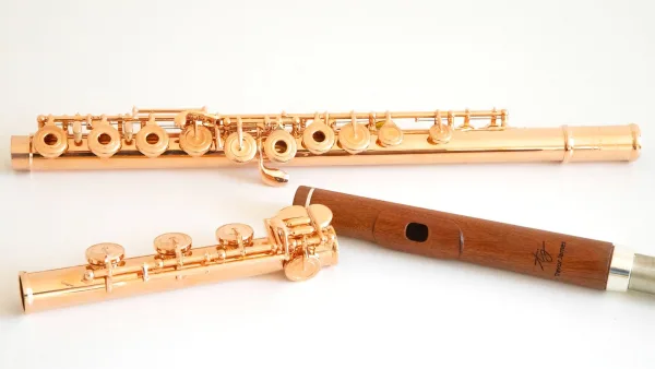 Piccolo Flute Explained: Features, Types and Tips