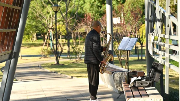 Saxophone Stand: A Complete Buyer's Guide