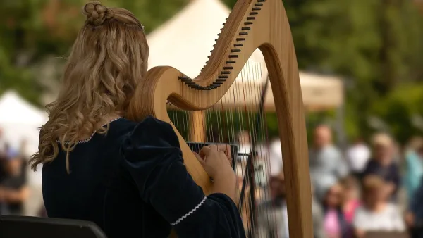 The Best Celtic Harps for the Money