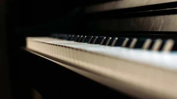 The Best Octave Pedals for the Money