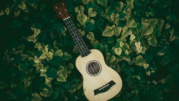The Ultimate Guide to Fender Ukulele
