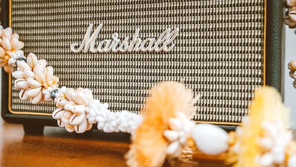 The Ultimate Guide to Marshall Studios