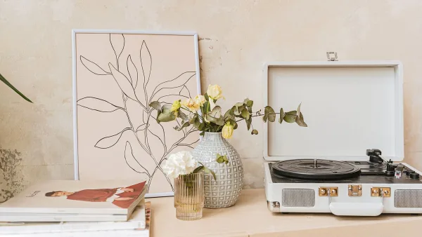 Turntable Cartridge for Beginners: A Complete Guide