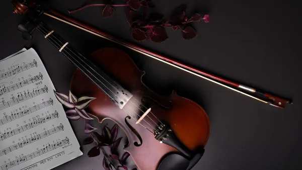 Violin Mute: A Complete Guide