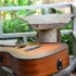 A Beginner's Guide to Bluegrass