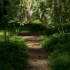 Ambient Music for Newcomers: Where to Start