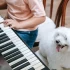 Chord Player for Beginners: A Complete Guide