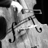 Common Evh Bass Guitar Mistakes to Avoid