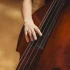 Common Fender Precision Bass Mistakes to Avoid