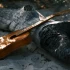 Common Parlour Guitar Mistakes to Avoid