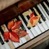 Common Piano with Labels Mistakes to Avoid