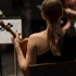 Concerto Subgenres, Explained