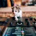 Dj Booth for Beginners: A Complete Guide