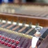 Dulcimer Explained: Features, Types and Tips