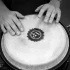 Everything You Need to Know About Bongo Drumming