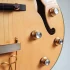 Fender Acoustasonic Explained: Features, Types and Tips