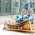 Guiro Music Instrument: A Complete Buyer's Guide