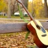 Guitar Neck: A Complete Buyer's Guide