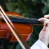 How to Set Up and Use Rosin Violin