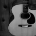 Martin and Taylor Explained: Features, Types and Tips