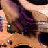 Music Man Explained: Features, Types and Tips