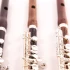 Piccolo Instrument: A Complete Buyer's Guide