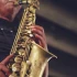 Saxophone Reeds Explained: Features, Types and Tips
