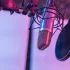 Sennheiser Microphone: A Complete Buyer's Guide