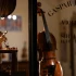 Shamisen: A Complete Buyer's Guide