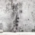Soprano Saxophone: A Complete Buyer's Guide