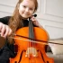 Stentor Violin for Beginners: A Complete Guide