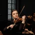 Stradivarius Violin: A Complete Buyer's Guide