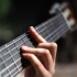 Taylor Guitars: A Complete Buyer's Guide