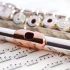 The Best Bass Clarinet Clarinets for the Money