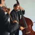 The Best Fretless Bass for the Money