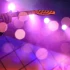 The Best Gretsch White Falcons for the Money